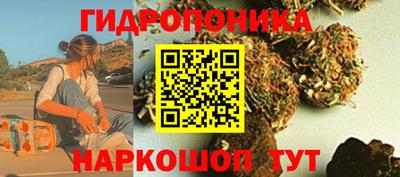 соль ск Кулебаки