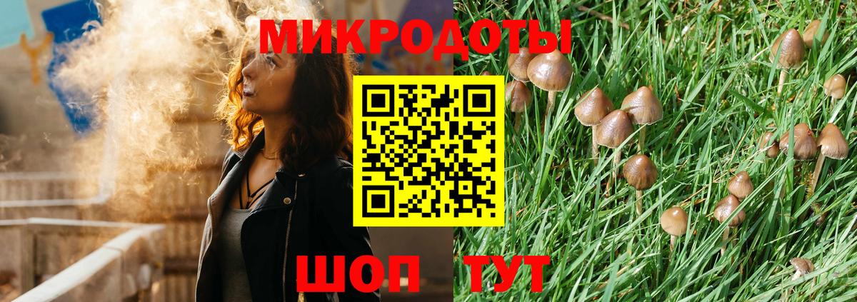 Псилоцибиновые грибы прущие грибы Когалым