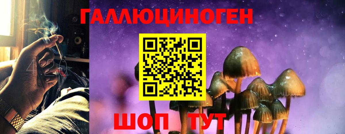 Когалым  Галлюциногенные грибы мицелий  Галлюциногенные грибы Cubensis  Вход с VPN 